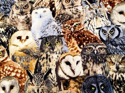 Fancy Pants Masks - 100% Cotton - panties.com